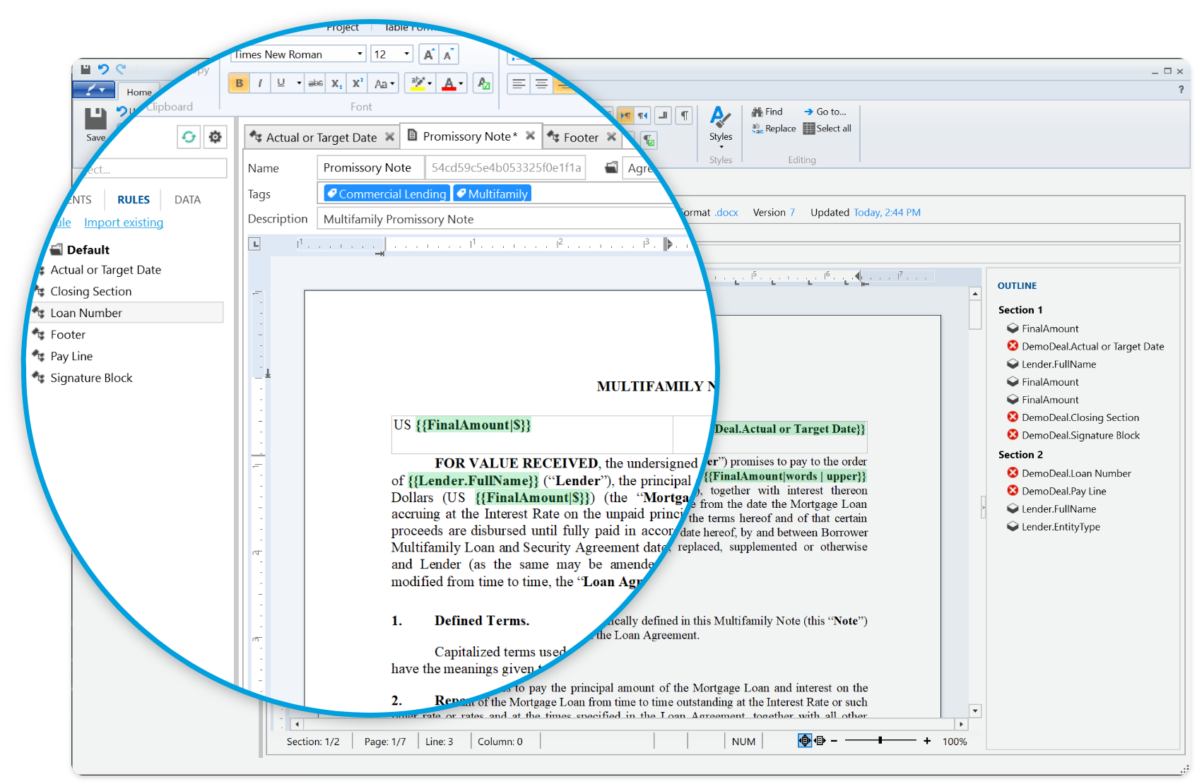 Lexicon text editor with magnified view of template content and rules